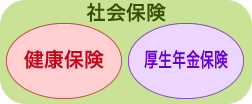 社会保険とは